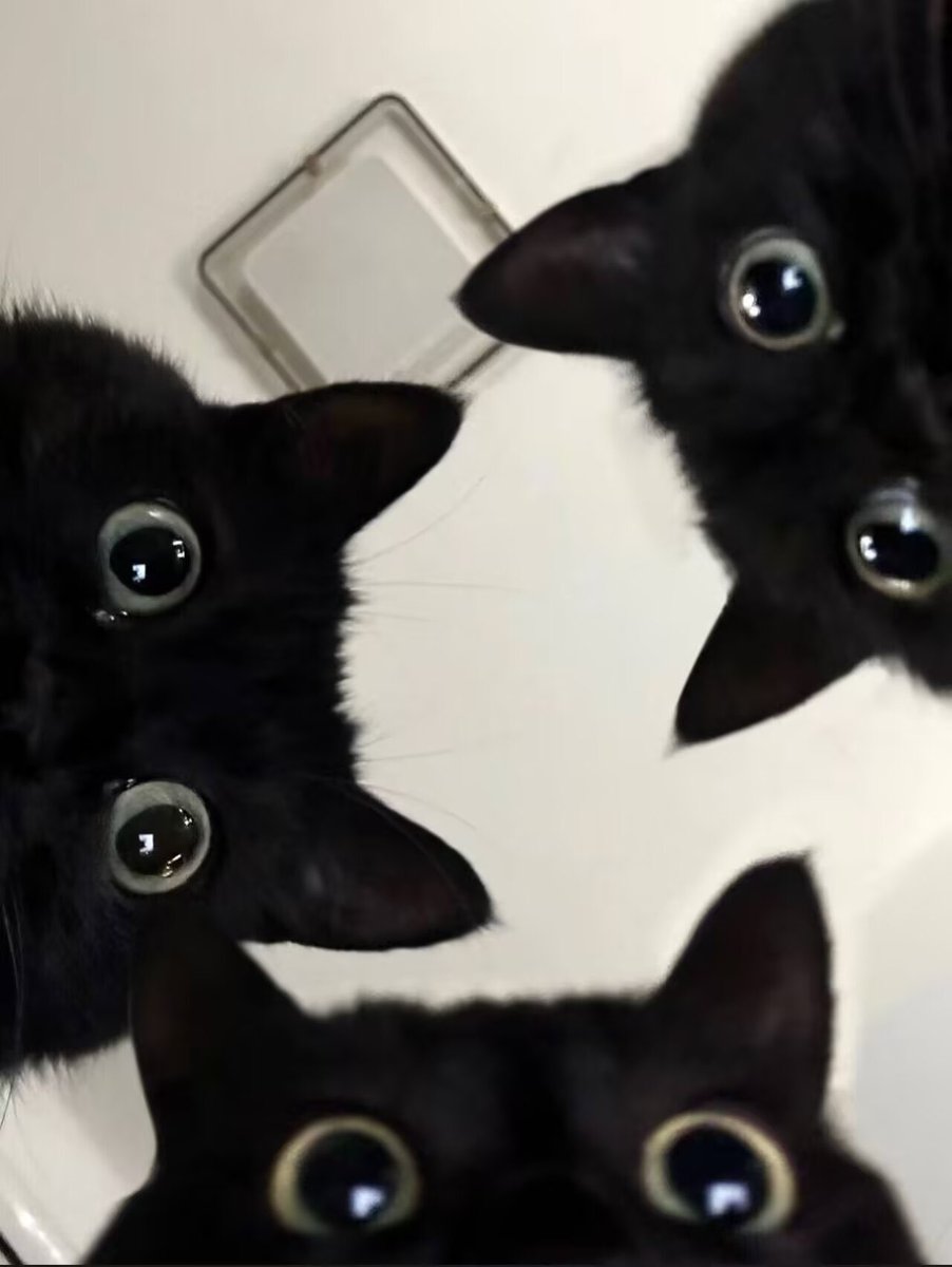 meow
#Valorant #ValorantArt #Omen