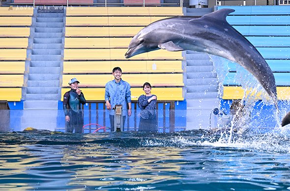 新アトラクション「Play with Dolphin」を5月9日(金)より開始いたし