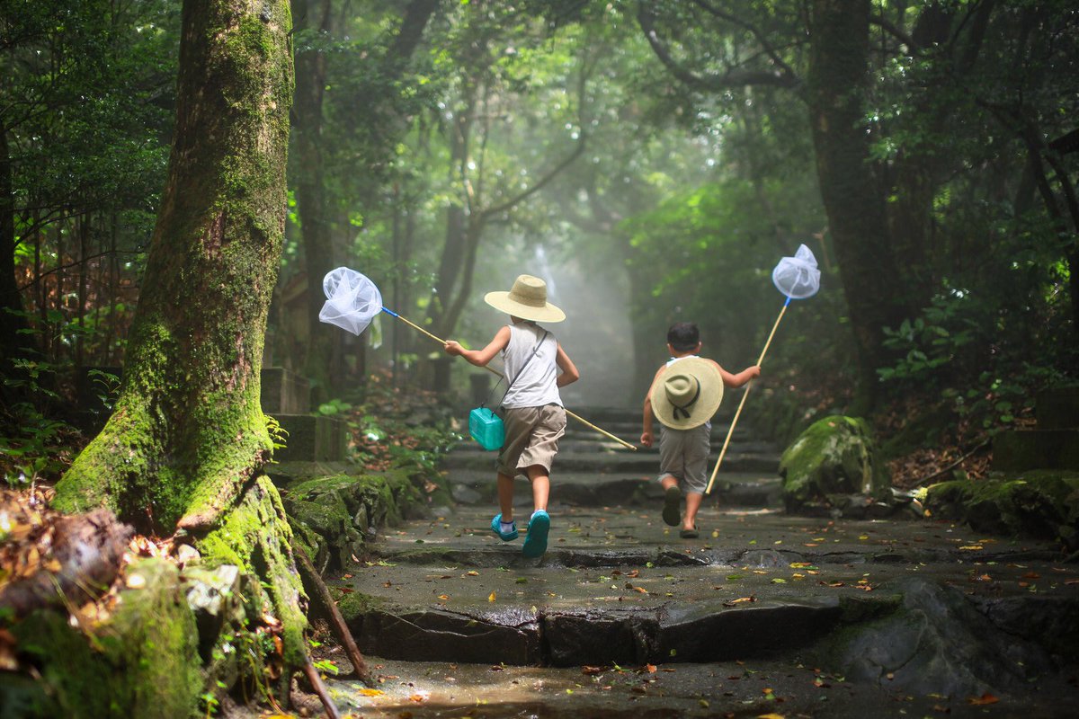 AndoHotel's tweet photo. ～販売中～
【6/20～8/31限定】家族で楽しむ！世界遺産の森で昆虫採集プラン

～夏の冒険が待っている。世界遺産の森、春日原生林で家族の特別な体験と思い出作りを～

ご予約：https://t.co/zKCC3jyYCG

#夏休み　#家族旅行 　#大自然　#奈良若草山　#andoホテル奈良 https://t.co/4L1cDBFL1x