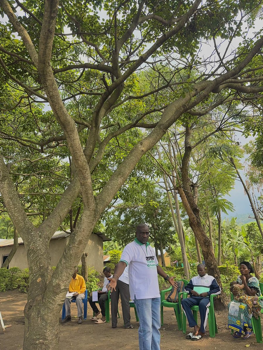 Séance de finalisation  d’un projet communautaire par les membres des organes de gestion de la CFCL Banyangala Kikingi en territoire de beni . 3 jours durant , du 11 au 13 mars 2025, les membres de ces organes ont reflechi, dans le cadre de la mise en oeuvre de leur plan simple