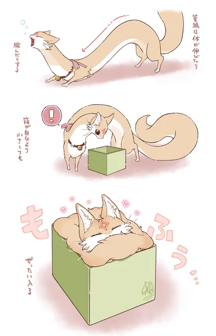 伸び縮みする管狐 
