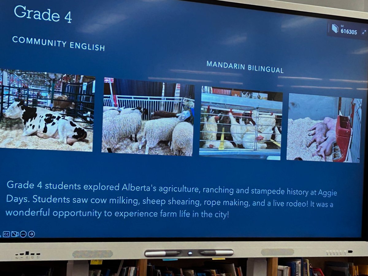 Charlene May tweet media