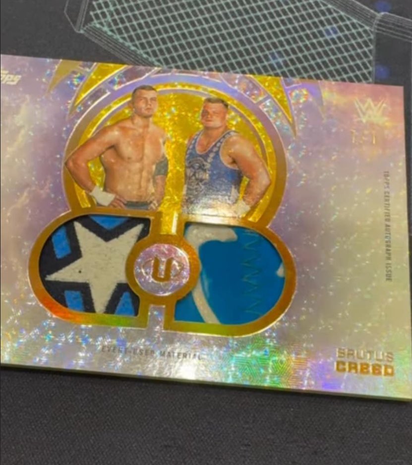 First look at Topps WWE Universe thanks to the Creed Brothers! 

Looks like event used gear as advertised!
