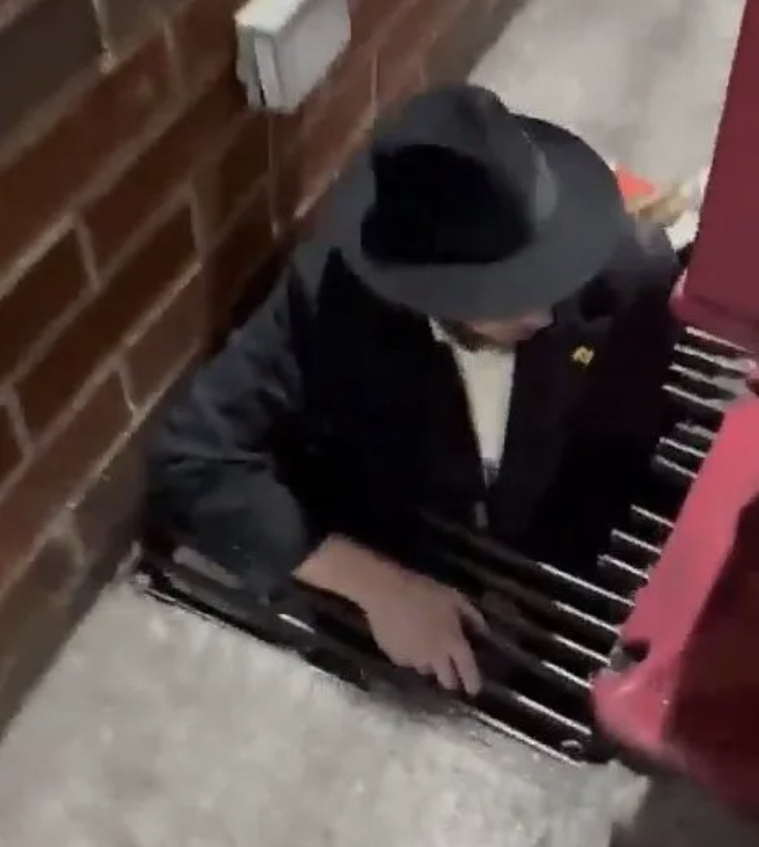 jakeshieldsajj's tweet image. 