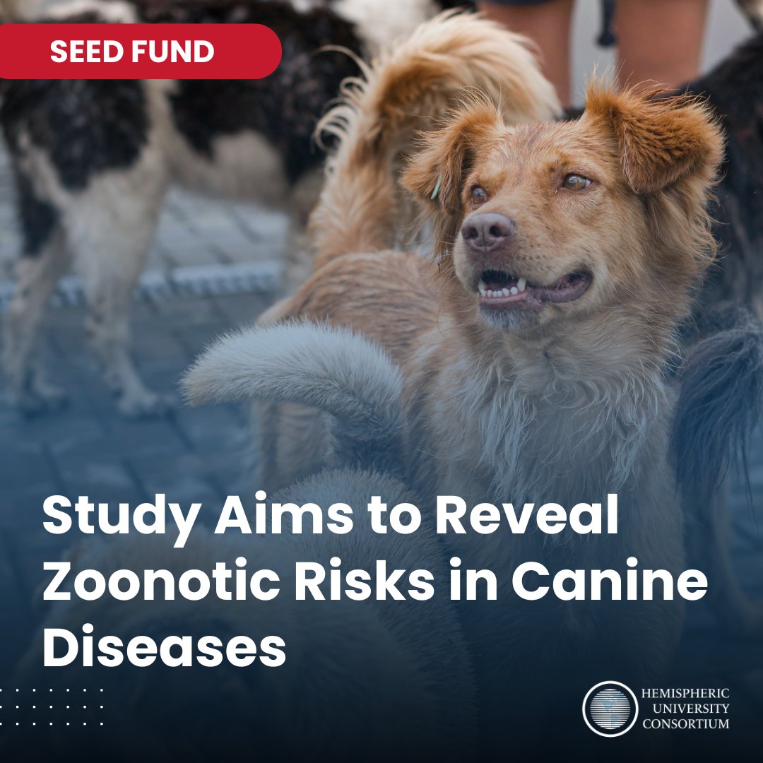 🔬 Breaking #PublicHealth news! Researchers from @uc_chile, <a href="/Uniandes/">Uniandes</a>, <a href="/USFQ_Ecuador/">Universidad San Francisco de Quito</a> &amp; <a href="/CayetanoHeredia/">Universidad Peruana Cayetano Heredia</a> will study 🐕 vector-borne diseases to curb human risks. #OneHealth ➡️ Full story:  t.ly/6oIqA