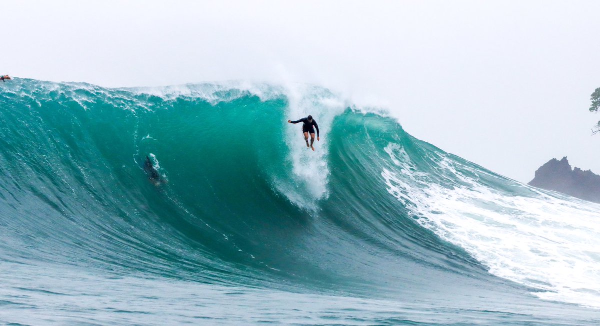 Nathan Florence tweet media