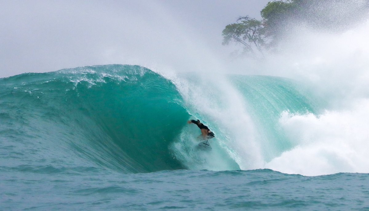 Wouf Dabroski (@MoonInspect0r) / Posts / X