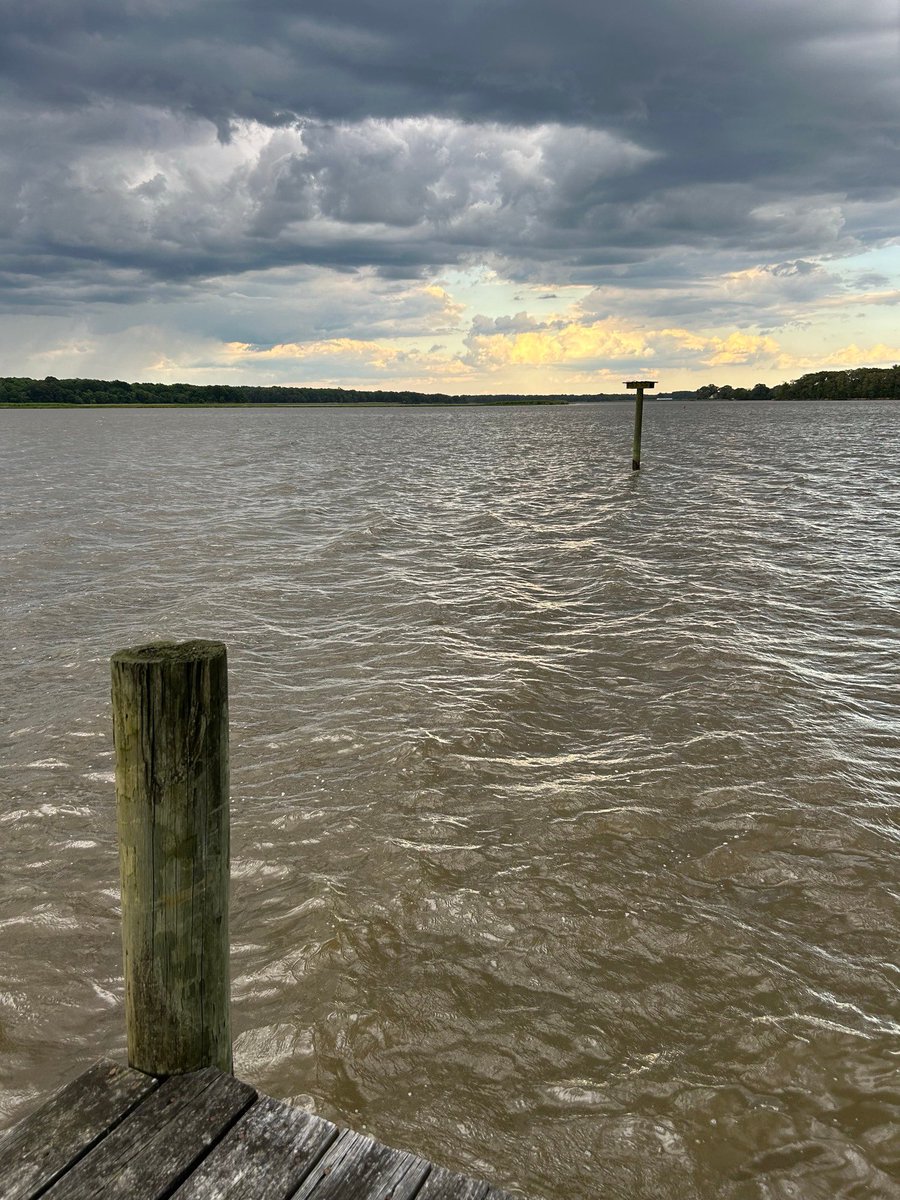 θάλαττα! θάλαττα!

Picture Order:
Dalian, China - Trapani, Sicily - Actium, Greece - Mallows Bay, USA.