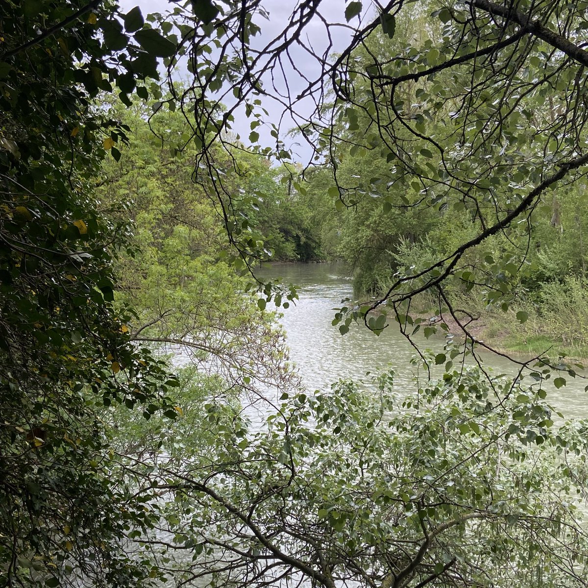 Luis Paredes tweet media