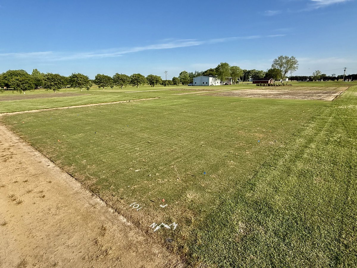 Paweł Petelewicz (@petelewicz) on Twitter photo Great day <a href="/UFIFASWFREC/">UF IFAS WFREC</a> establishing new doveweed trial! Plots turned out nicely as usual. Hopefully, lots of data to learn from later this year!
#UFturfweedmgmt
<a href="/UFTurfTeam/">UF IFAS Turfgrass</a>
<a href="/UFIFASAgronomy/">Agronomy at UF</a> Great day <a href="/UFIFASWFREC/">UF IFAS WFREC</a> establishing new doveweed trial! Plots turned out nicely as usual. Hopefully, lots of data to learn from later this year!
#UFturfweedmgmt
<a href="/UFTurfTeam/">UF IFAS Turfgrass</a>
<a href="/UFIFASAgronomy/">Agronomy at UF</a>