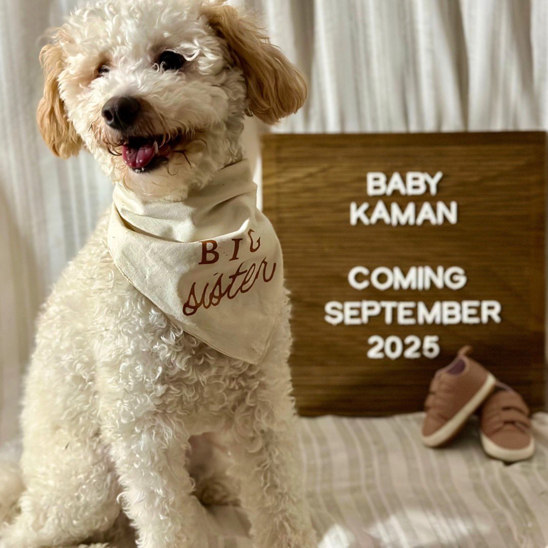 Coach Kaman tweet media