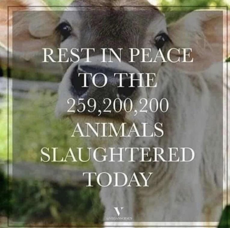 veganfuture's tweet photo. https://t.co/iYhcq7QeIv