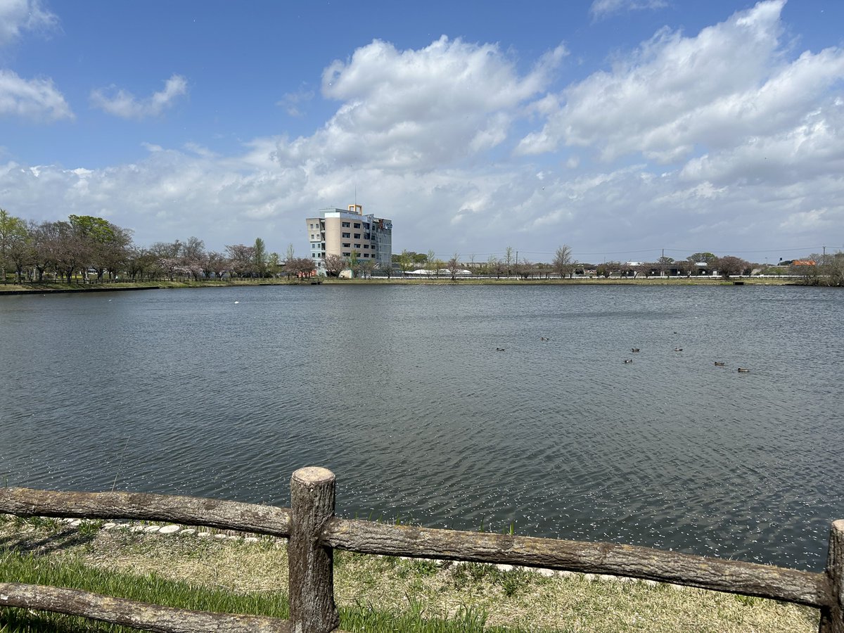 MONMOMOMON7948's tweet photo. 乙戸沼公園に行ってきました https://t.co/HcocFaDUx4