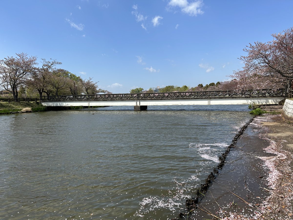 MONMOMOMON7948's tweet photo. 乙戸沼公園に行ってきました https://t.co/HcocFaDUx4