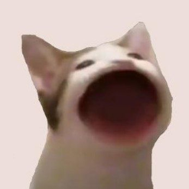 😼 NOW POPPING ON ROBINHOOD 😼 x.com/popcatsolana/s…