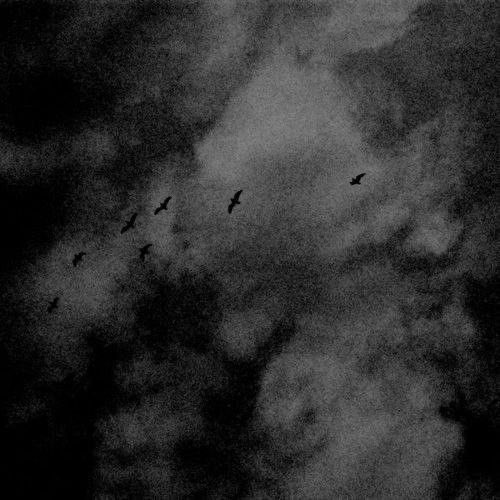 MHMSTW's tweet image. 1:52