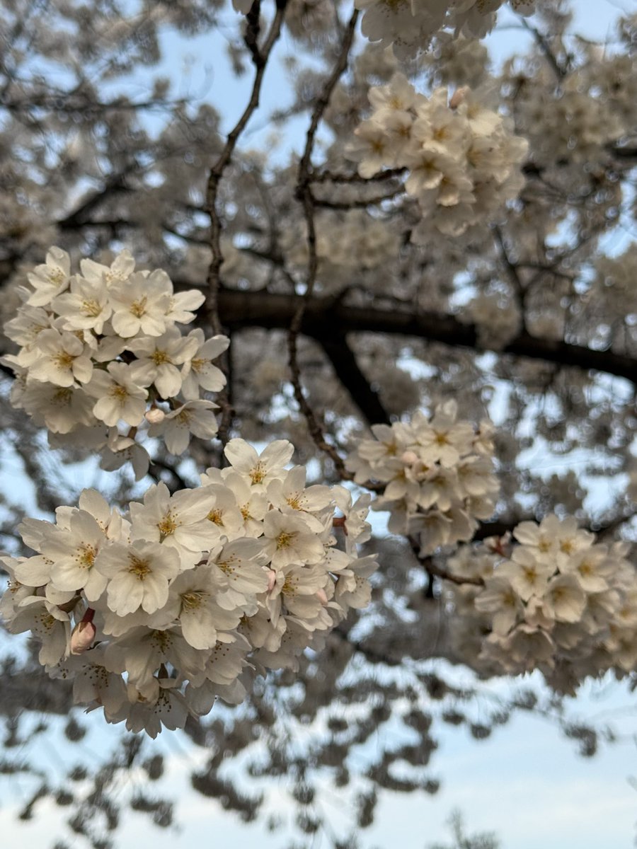 xBennett tweet media