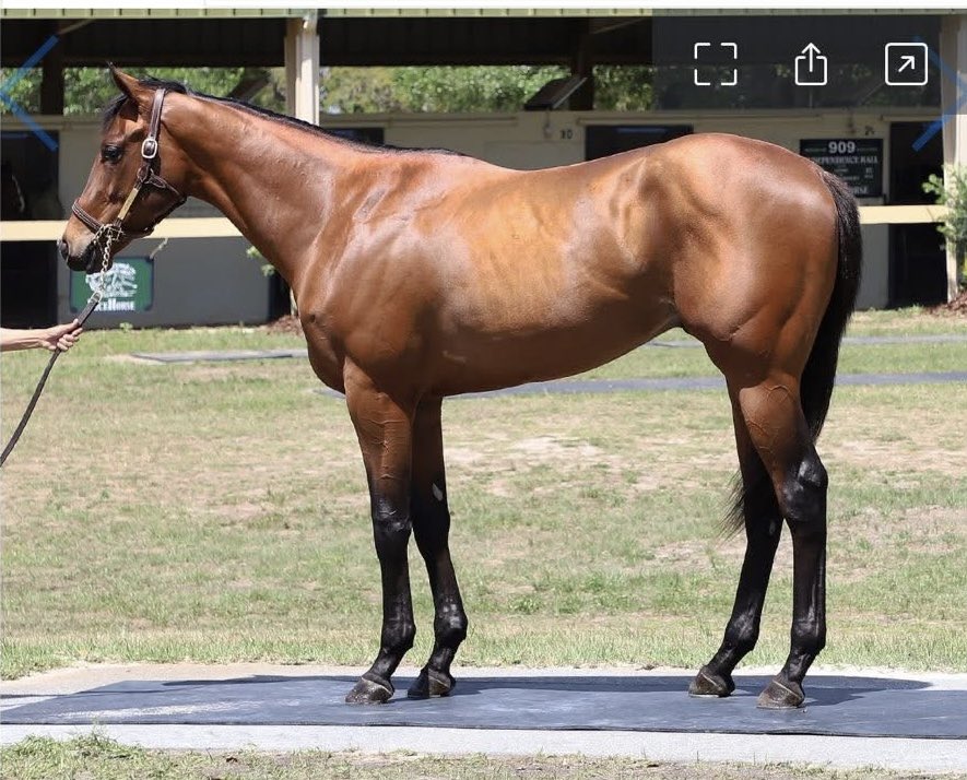 Dan Eplin (@daneplin) on Twitter photo Bought hip #123 Mendelssohn colt today ,blazing fast 1/4 in 20.3 long stride <a href="/OBSSales/">OBSSales</a> with the help of <a href="/PreissDan/">Dan Preiss</a> heading to <a href="/santaanitapark/">Santa Anita Park</a> to <a href="/ojjauregui/">O.J. JAUREGUI</a> Bought hip #123 Mendelssohn colt today ,blazing fast 1/4 in 20.3 long stride <a href="/OBSSales/">OBSSales</a> with the help of <a href="/PreissDan/">Dan Preiss</a> heading to <a href="/santaanitapark/">Santa Anita Park</a> to <a href="/ojjauregui/">O.J. JAUREGUI</a>