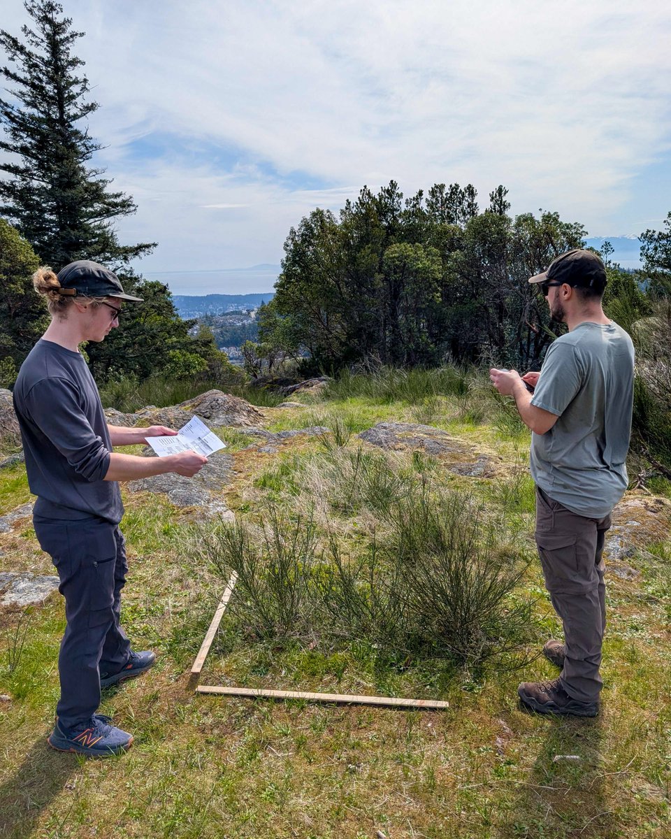 It’s #VolunteerAppreciationWeek! Conservation and stewardship take a community—and this spring, the community showed up in a big way at Goldstream Park. Thanks to the incredible volunteers who joined our pilot project to map invasive Scotch broom—and to the generous support of