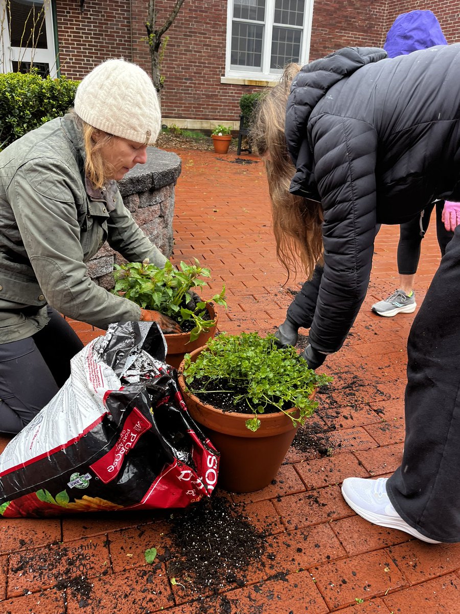 Ms. Phan (@warriorsstem) on Twitter photo We started a mini herb garden for Ms. Colleen to use in all her delicious lunch meals! <a href="/ckolacki/">colleen kolacki</a> <a href="/Warrior_News/">Markham Place School</a> We started a mini herb garden for Ms. Colleen to use in all her delicious lunch meals! <a href="/ckolacki/">colleen kolacki</a> <a href="/Warrior_News/">Markham Place School</a>