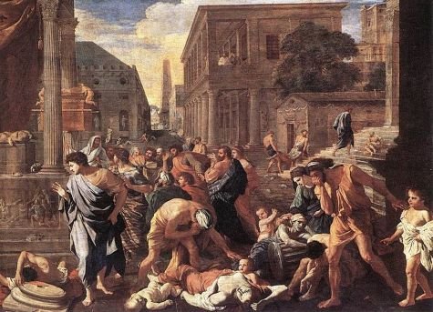 Mary Mulvihill Association tweet media