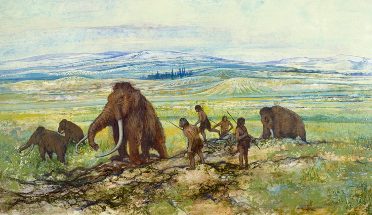 Mary Mulvihill Association tweet media