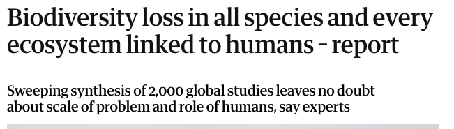 Mary Mulvihill Association tweet media