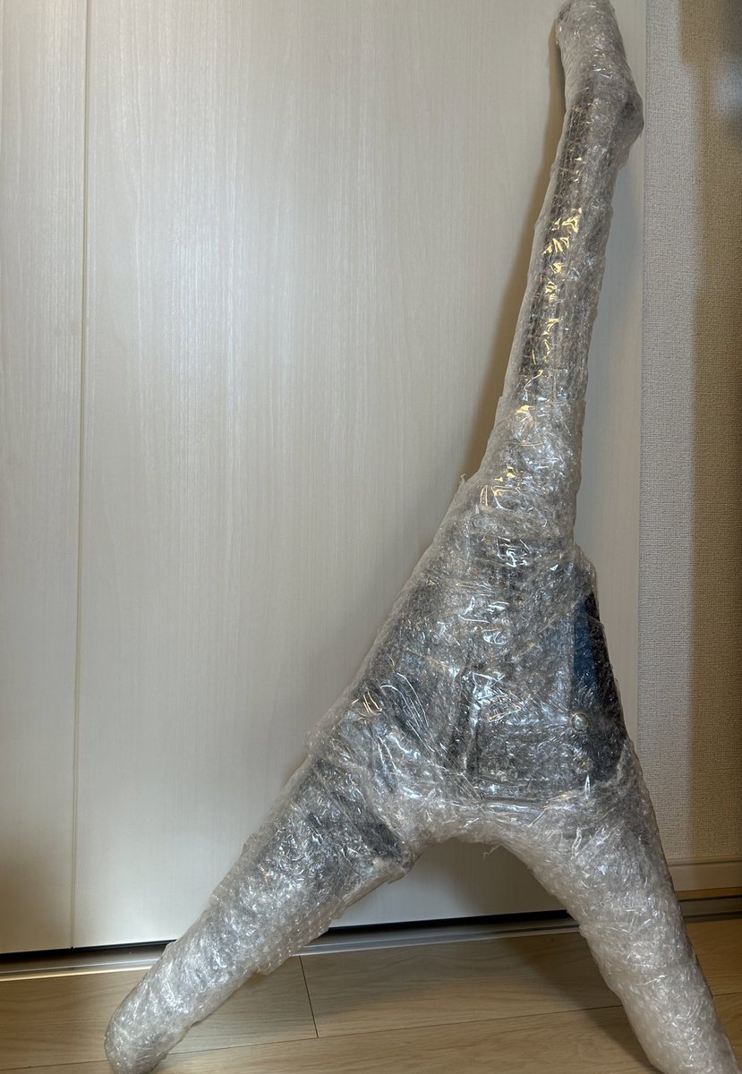 鬼ヤバい梱包でギター届いた。ゆうパックでよく引き受けたな。。。