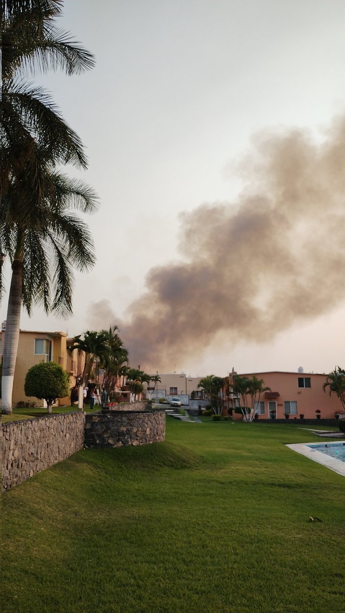 veronica maldonado tweet media