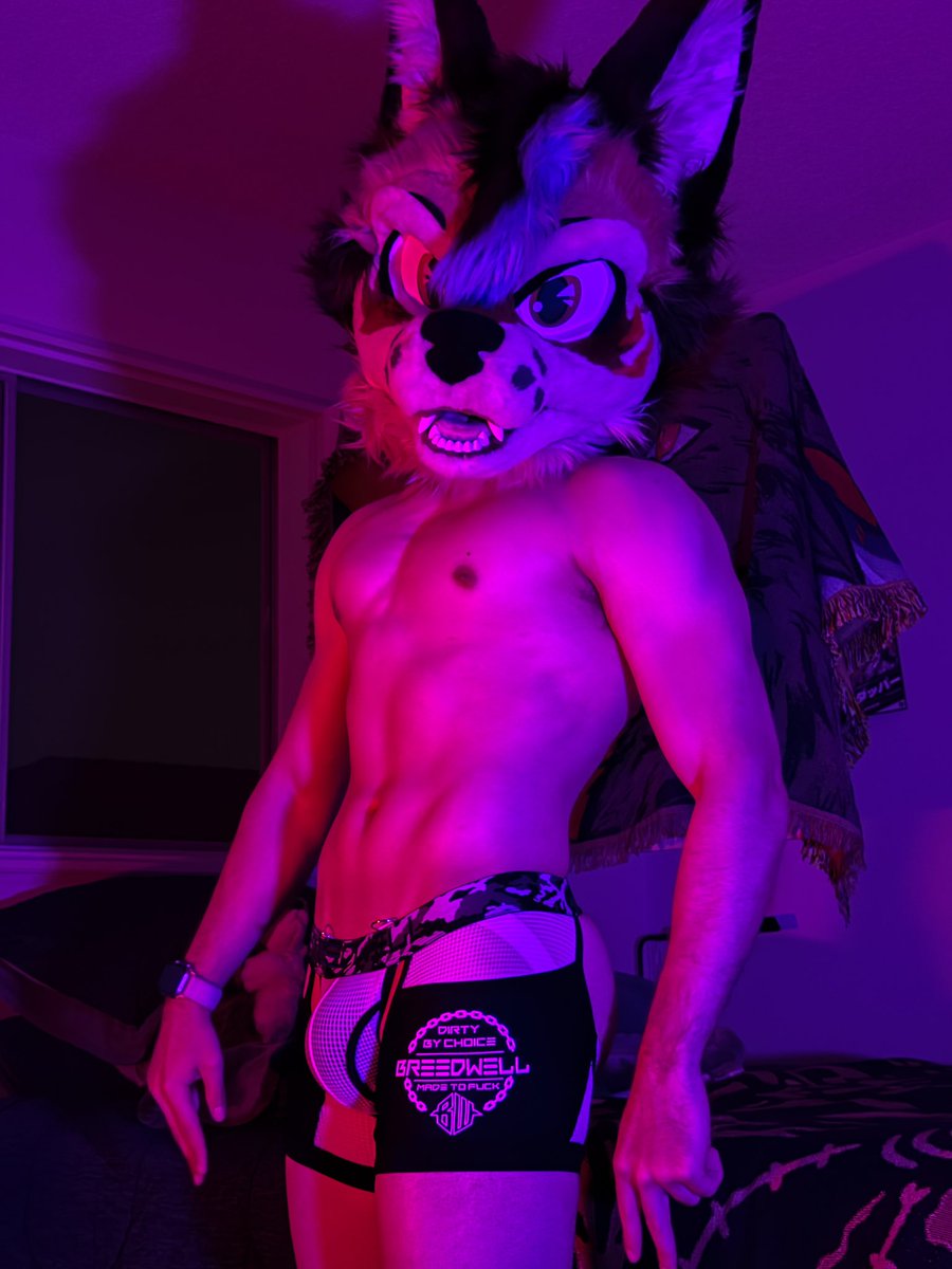 Dogged Dapper 🔜 LVFC tweet media