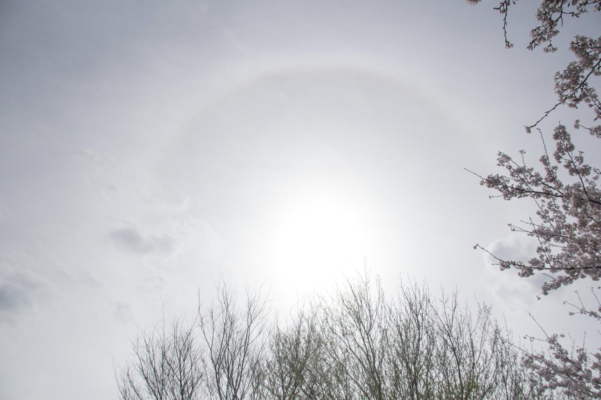 That's a gorgeous halo around the sun!  It's called a 22° halo, and it's created by ice crystals high in the atmosphere refracting sunlight.  It's such a magical sight, isn't it? ✨

Have you ever witnessed a halo like this before, and if so, what was the weather like that day?