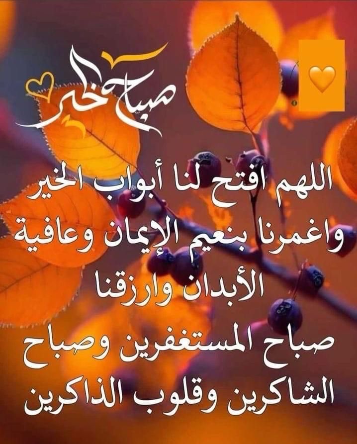 عمـر بارحيم 🤍🌹 (@omar57076582) on Twitter photo 