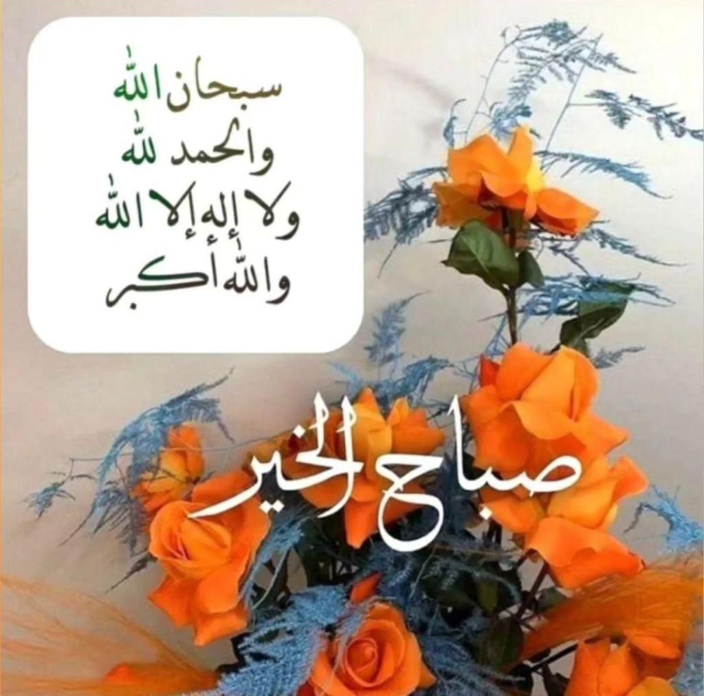 ElashteaaH's tweet photo. @wa__do https://t.co/GeLriooY6Z