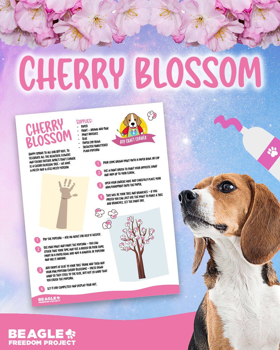beaglefreedom's tweet photo. Spring is here, and so are new BFP Kids activities! 🌸🐶

Bond with your kiddo + teach animal advocacy with a fun cherry blossom craft.

Get crafty: https://t.co/ZEVZV3hvAp

Tag us in your creations! ✨ 

#BFPkids  #AnimalAdvocacy https://t.co/gsotMzKZDp
