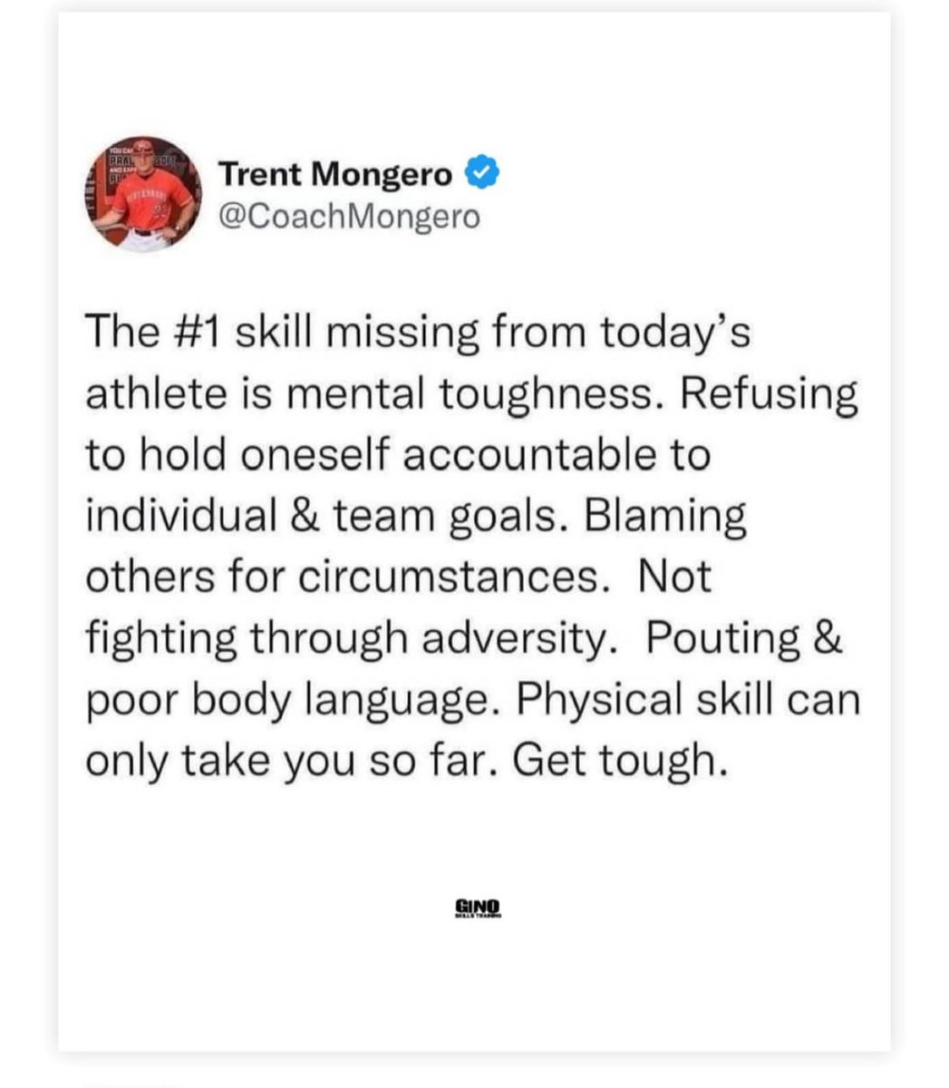🎯 ‼️