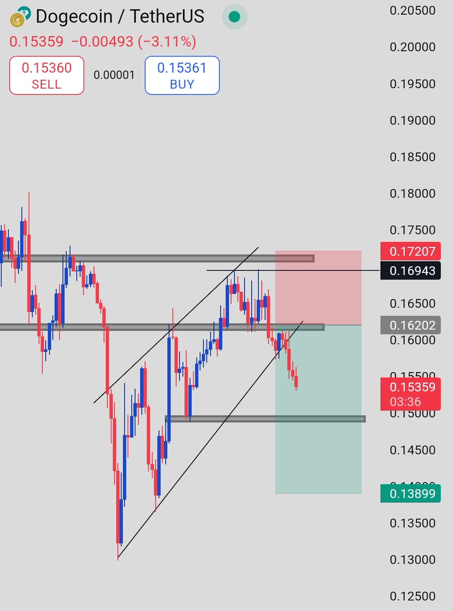 prof_Michael_01's tweet image. DOGE/USDT just broke its leash!
Rising wedge snapped &amp;amp; bears took the wheel!

Short active:

Entry: 0.162

Target: 0.150 &amp;gt; 0.139

SL: 0.172

Next stop: support city!

#DOGE #Crypto #ShortSetup #BearishBreakout