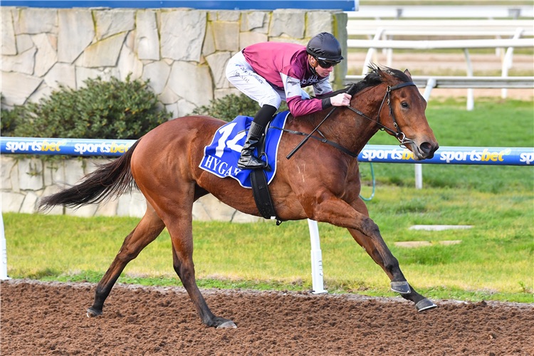 Best Roughie – Caulfield Heath R4 #2 Fully Calculated
$6.50 <a href="/playup/">Denise Kelly</a> 

Flying under the radar, but this one’s got form and value.

Fully Calculated has hit the top 3 in his last three runs and comes off a solid win at Sale over 1000m. Trained by the Hayes team and ridden by