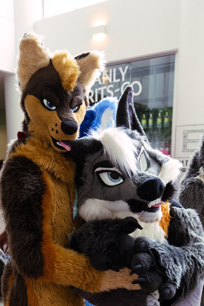 Didn't suit as much as I should have at #FurDU2025 but I still had an amazing time!
