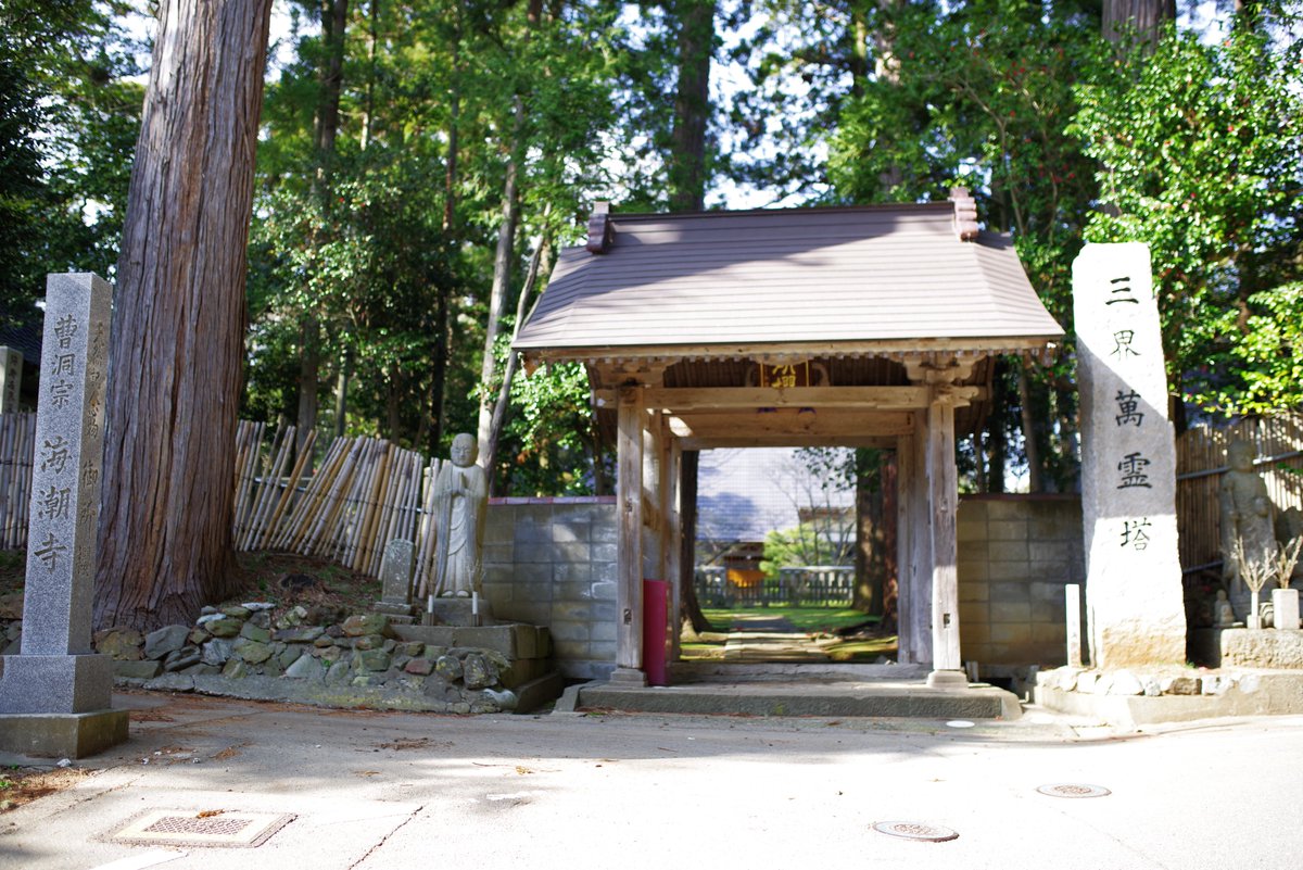 sadokankou's tweet photo. 元小木の海潮寺にある御所桜ですが、訪れた時には既に散って葉桜でした！
１～２週間程度早く行けば良かったです。(^^;
桜の種類によっては開花時期が全く異なるので、御所桜の撮影は来年リベンジです！
( https://t.co/XM0sz1pUZO )
撮影：4/13

#佐渡島 
#元小木 
#海潮寺の御所桜 
#桜 https://t.co/KmSfycYQU4