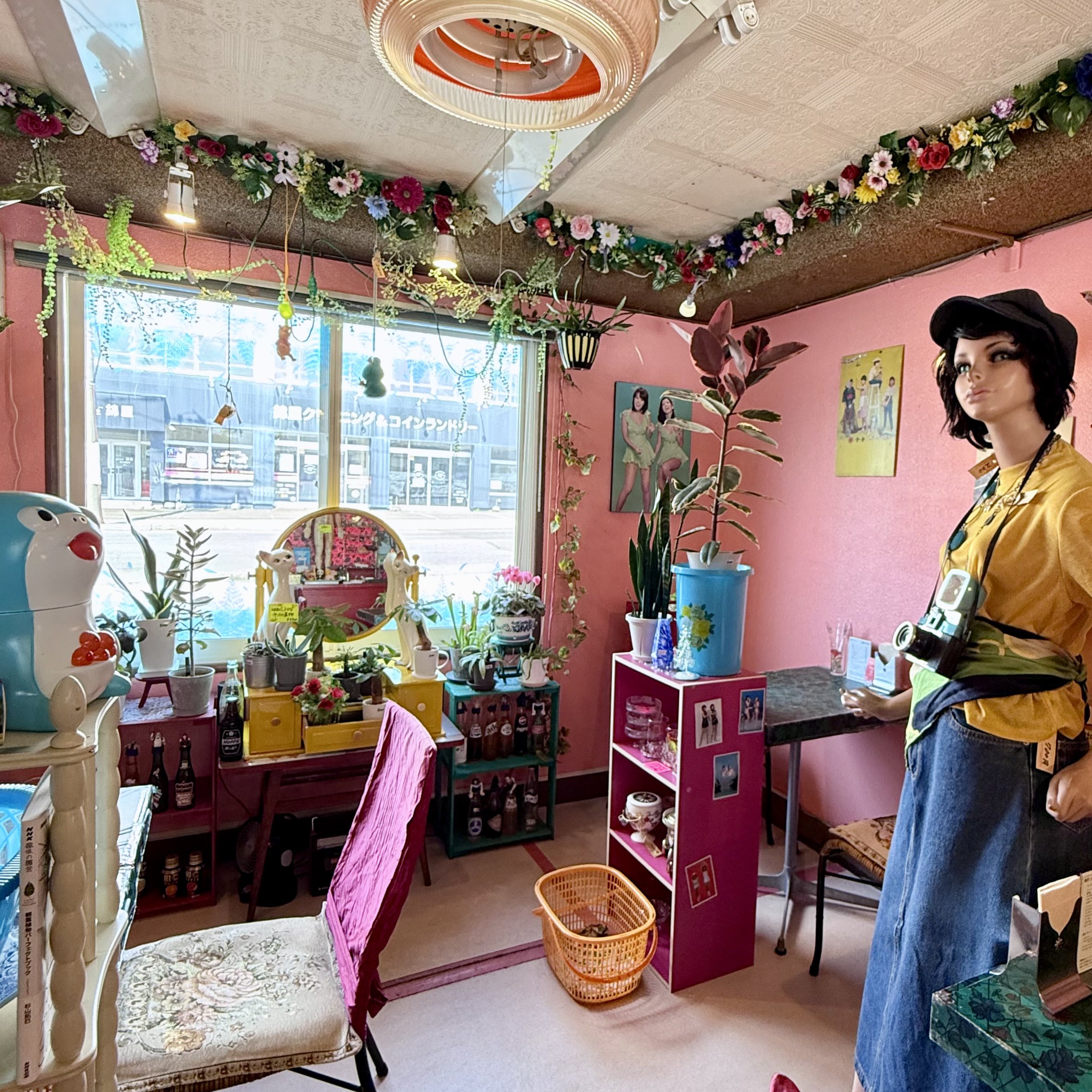 Amazon｜Luckystar Beauty and The Beast Rose本物のバラで