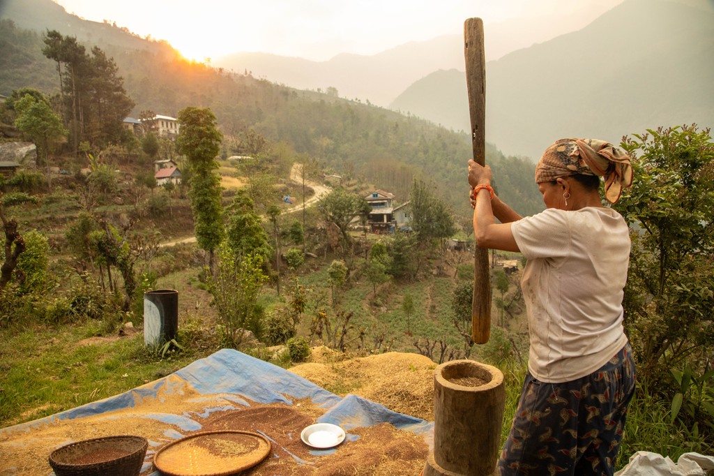 In the hills south of the Everest Basecamp trail lies a different world. Our trek - in the footsteps of Hillary - begins in Phaplu and explores the south, where we'll see communities farming rice and barley.
