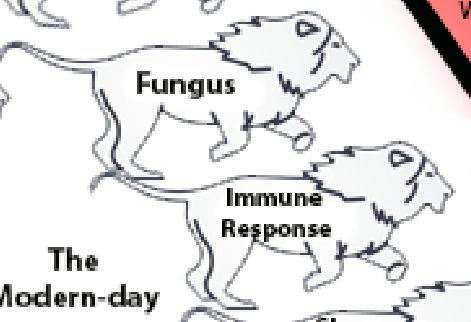 Meredith Arthur tweet media