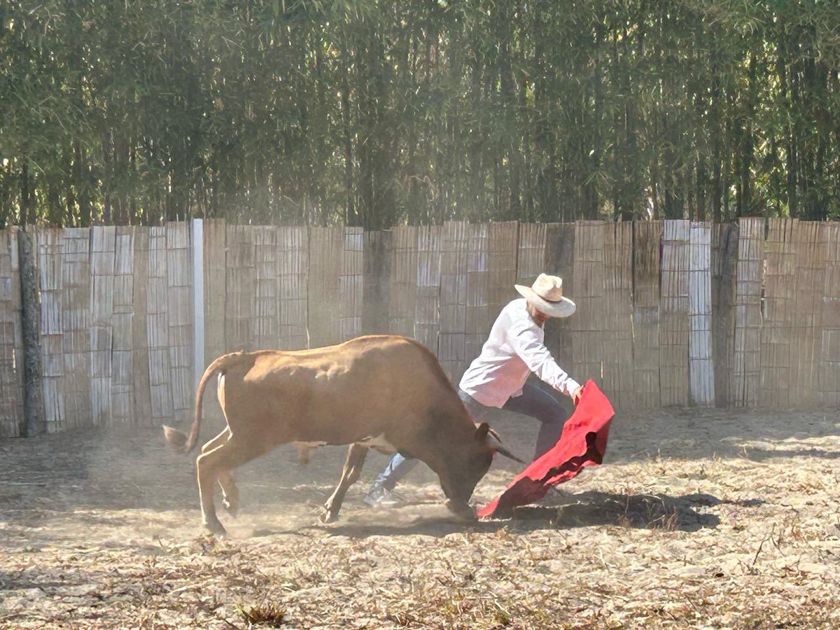 El toro te hace recordar que delante de él todo se vuelve un instante, efímero y eterno. ¡Torear es sentirse vivo! 

Tienta en casa de mi querido <a href="/toros_del_chepe/">gabriel lecumberri</a>
