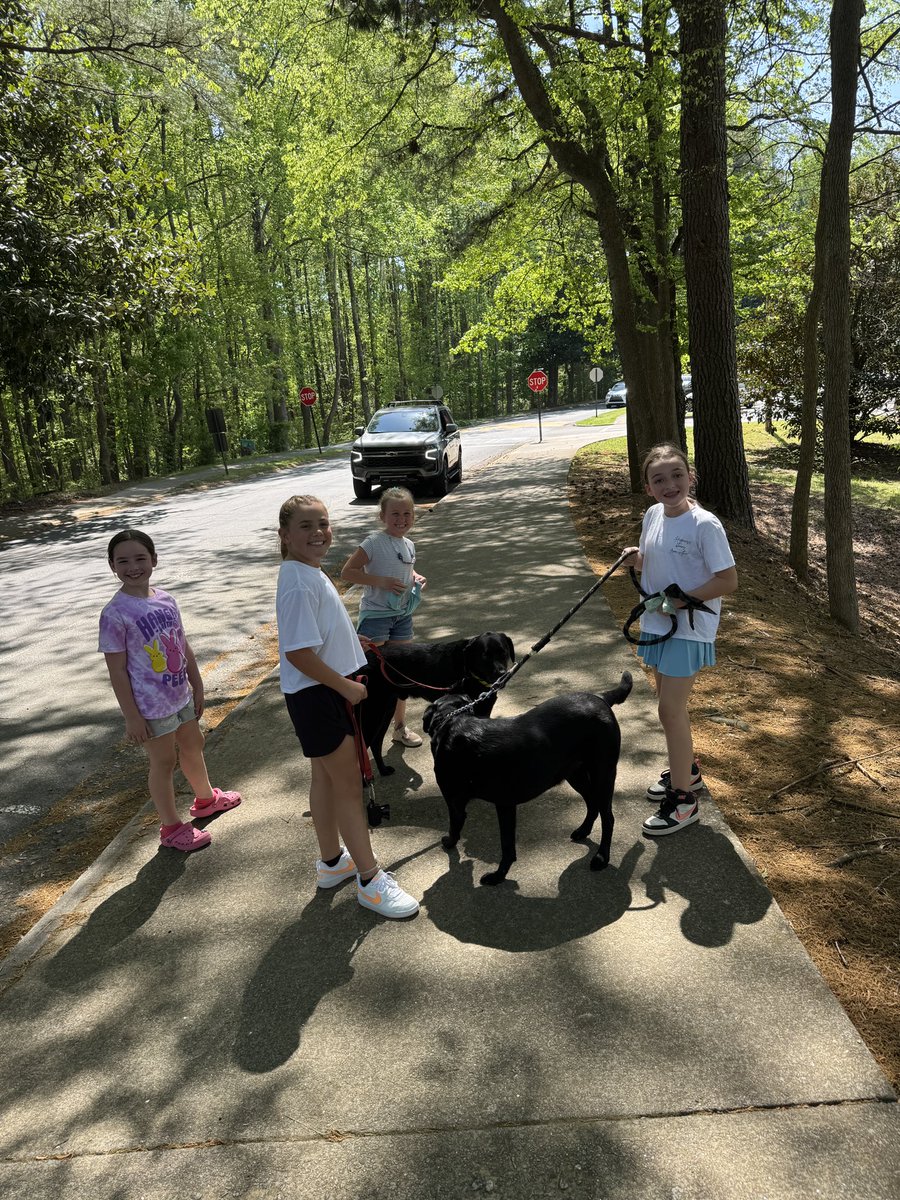A walk in the park with Ridley and Boss #RNEGreatThings
