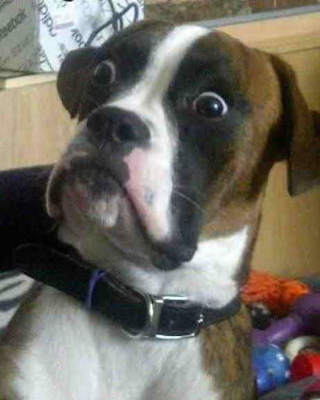 Mr.Lopez tweet media