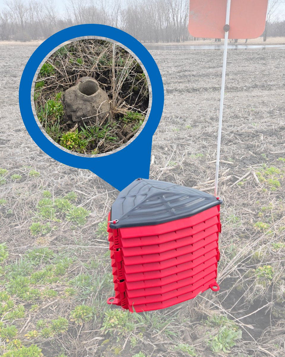 May Wes Manufacturing (@maywesmfg) on Twitter photo How wet are your fields this spring? π§οΈ Introducing Quick Drain - the universal intake filter that works with any size tile drain. Quick Drain prevents clogging and keeps your drain tile flowing freely!
Save 10% off through April 21st! Hurry, ends soon! How wet are your fields this spring? π§οΈ Introducing Quick Drain - the universal intake filter that works with any size tile drain. Quick Drain prevents clogging and keeps your drain tile flowing freely!
Save 10% off through April 21st! Hurry, ends soon!