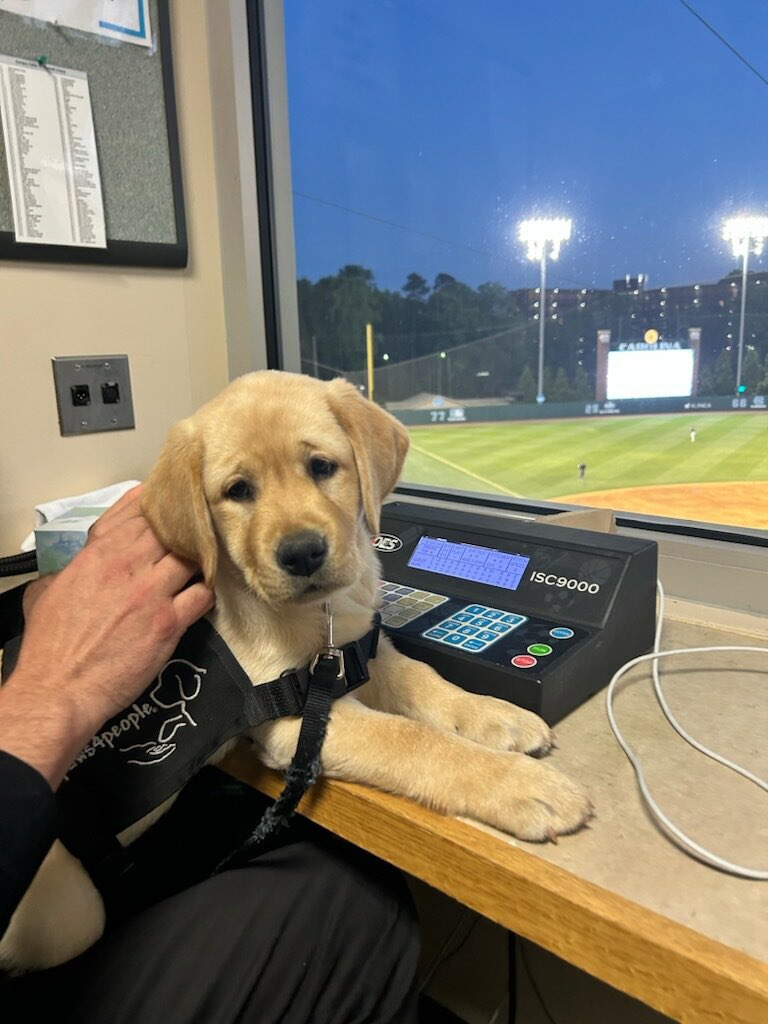 Carolina Baseball (@diamondheels) on Twitter photo When you complain about hits/errors, this is who you’re complaining about…
<a href="/carolina_alumni/">Carolina Alumni</a> X <a href="/GoHeels/">UNC Tar Heels</a> When you complain about hits/errors, this is who you’re complaining about…
<a href="/carolina_alumni/">Carolina Alumni</a> X <a href="/GoHeels/">UNC Tar Heels</a>