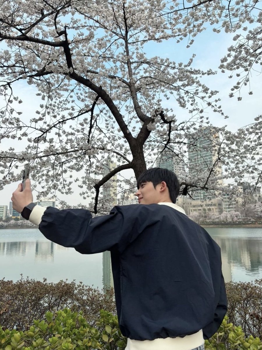 page623_'s tweet photo. 나의 봄 https://t.co/NaVEZuDoaU