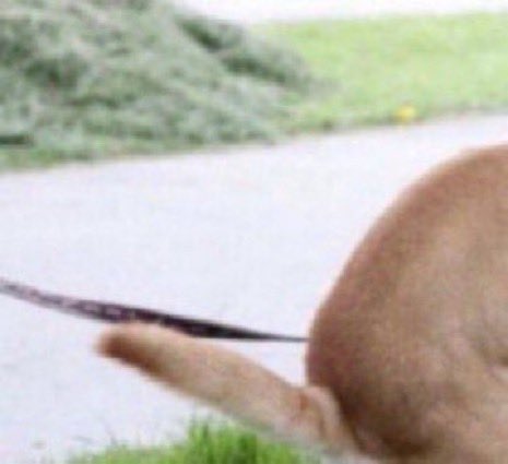 Ilya · イリア tweet media