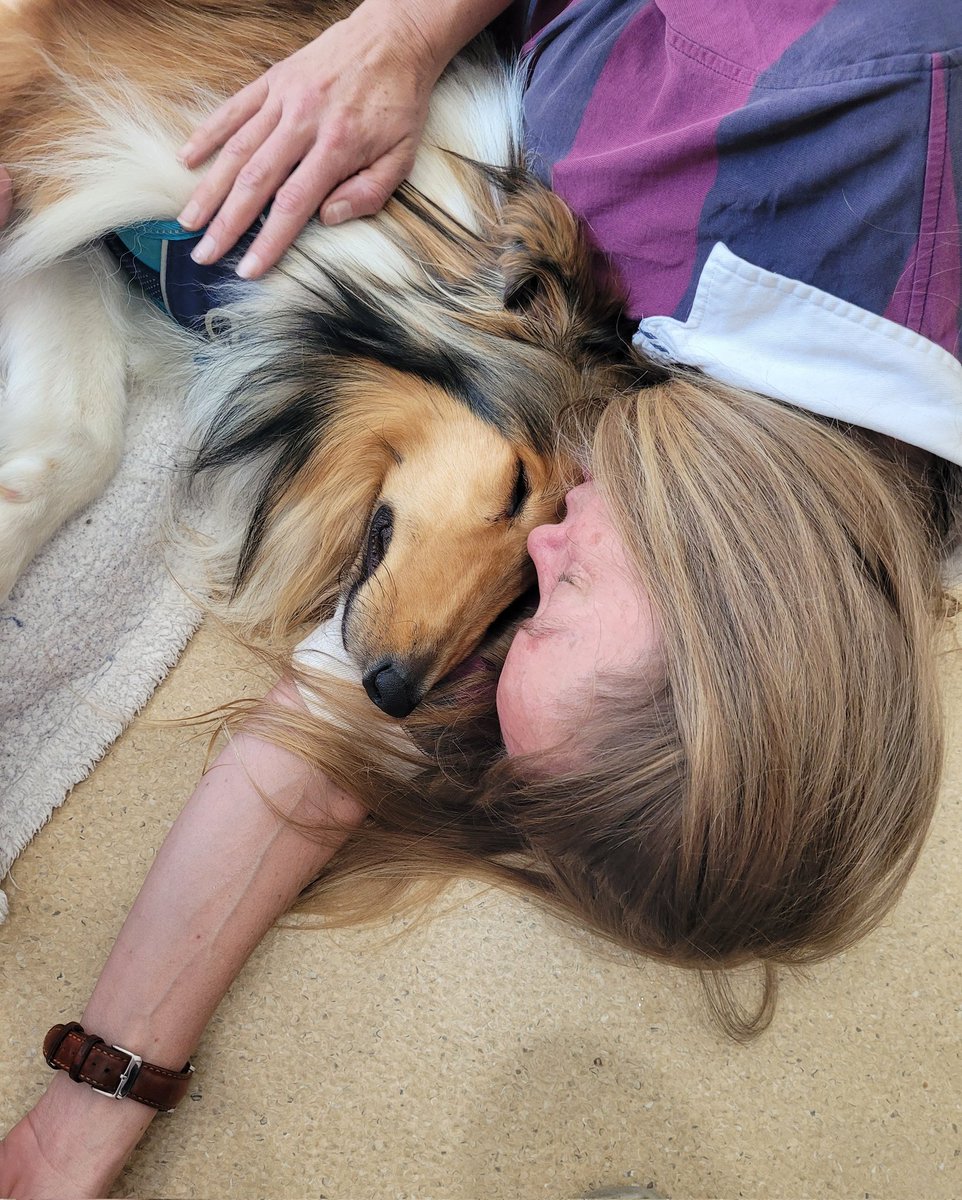 Hank had an aggressive form of cancer. His days were numbered from the start. I set out to provide him with a happy life while he remained alive. He lived the best 6 months ever as his body deteriorated. Today he died in my arms. And his love for me has changed me forever. 🐾